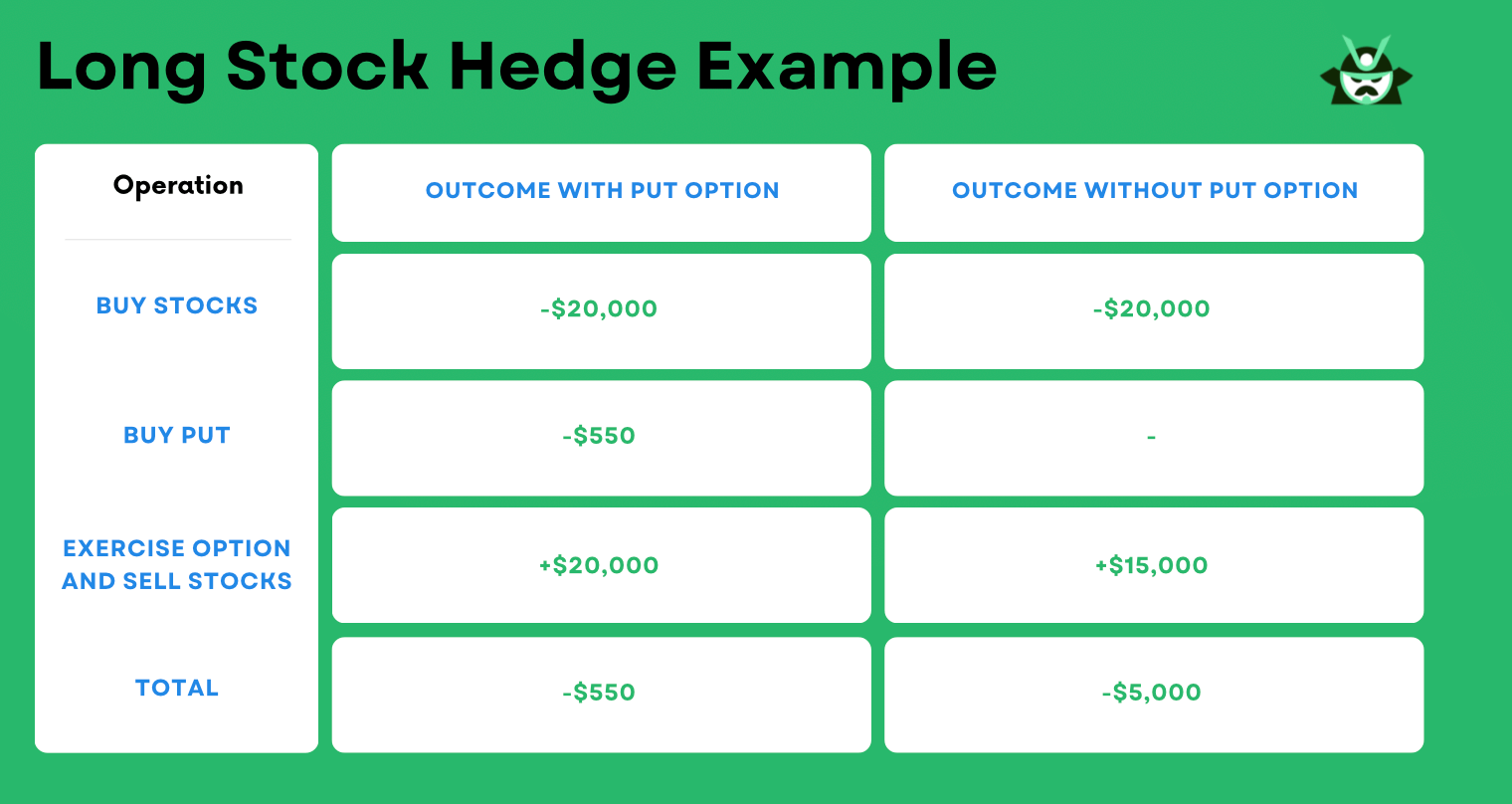 long_stock_hedge