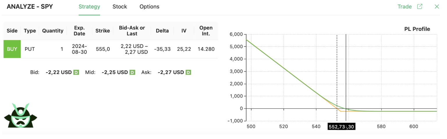SPY long put