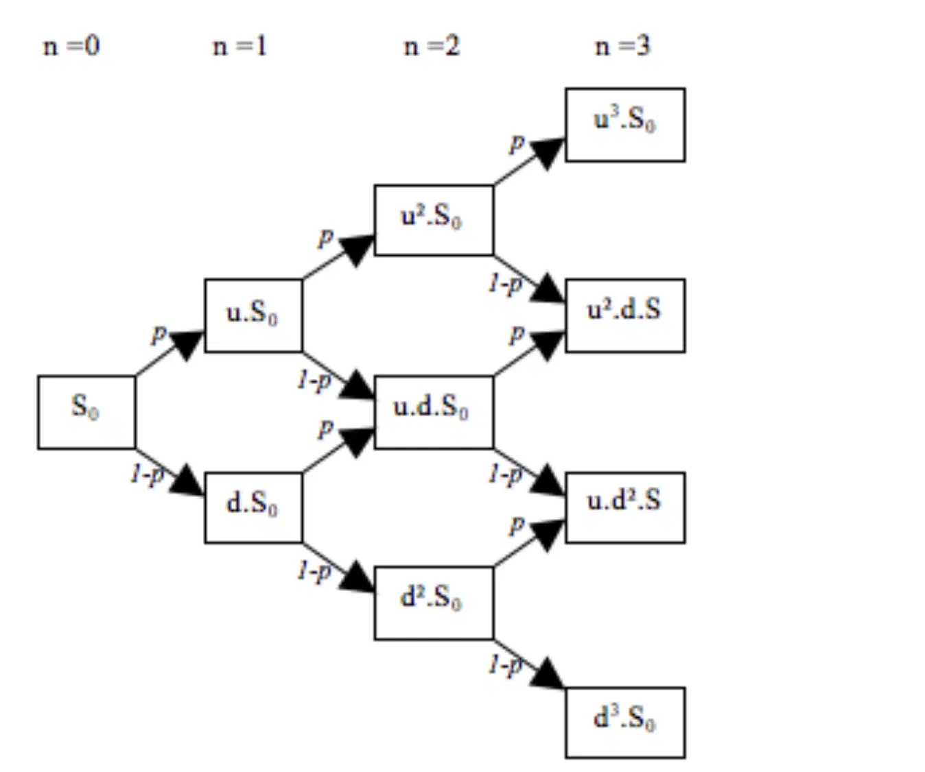 binomial model tree diagram
